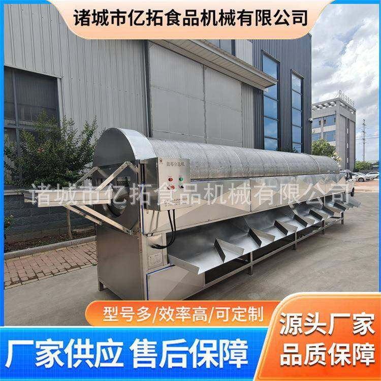 半自动大型蓝莓分选机适用范围广送货上门,清洗/食品/商业设备,其他食品加工设备,淘宝优惠券,粉丝福利购,淘宝优惠卷