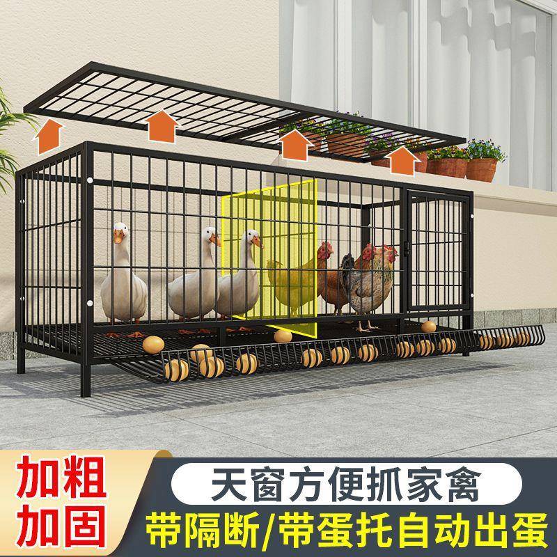 养养笼家用鸡笼子殖笼鸡用铁笼子鸡舍家用蛋鸡ZCO笼特家大号包邮