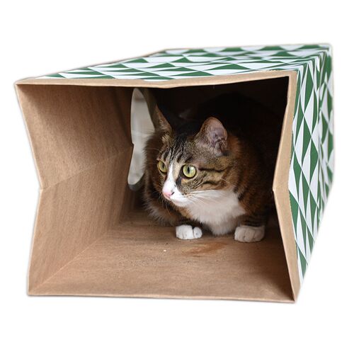 领养之家/伴诺j宠物玩具猫咪用品猫玩具猫咪通道隧道自嗨纸猫屋