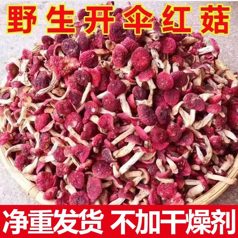 【特级】净重野生红菇干货开伞红菇无硫新货红蘑菇红菌菇煲汤佳品