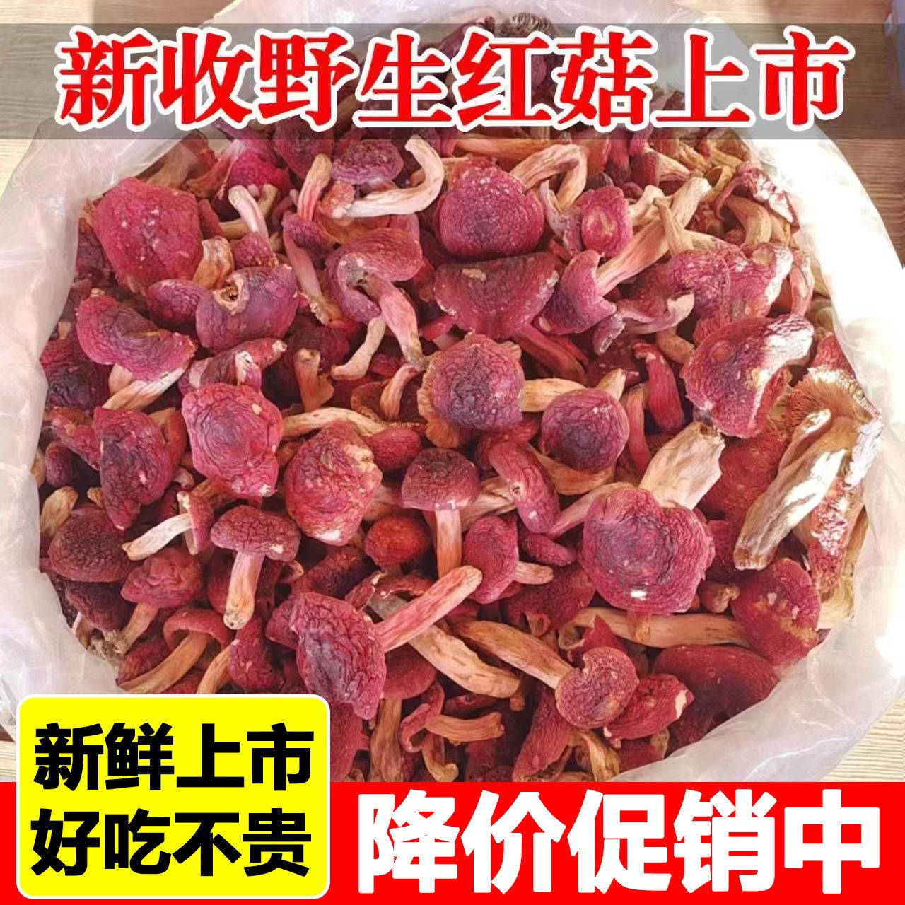【新菇上市】野生红菇干货红蘑菇特级红菇红菌菇补血滋补香菇煲汤