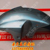 19D 19C 前泥板 挡泥板 挡水板 钱龙QJ150 前泥瓦 19A