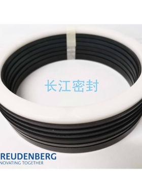 MERKEL FREUDENBERG DM-1170 -8.5 ES 90-110--35-40夹布油封