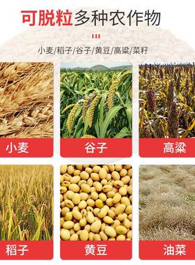 功小麦脱粒机水稻大豆多机黄豆NQB油菜籽高梁谷子脱能壳机脱籽打