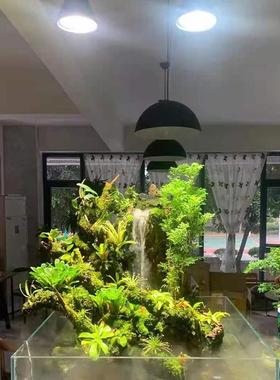 全光水草植物补光灯泡PRLl仿ed灯谱鱼缸爆藻生长藓太阳室内花卉苔