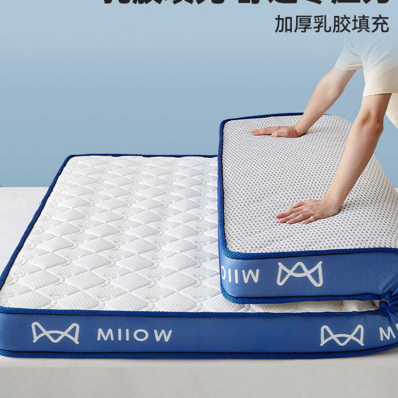 乳胶记忆棉床垫遮盖物软垫家用卧室宿舍学生单人榻榻米海绵褥垫子