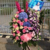 开业花篮开张乔迁庆典商务花篮实物拍照演唱会花篮上海鲜花速递