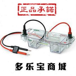 Cell Sub GT小型水平电泳槽7x10cm rad1704467伯乐Mini bio