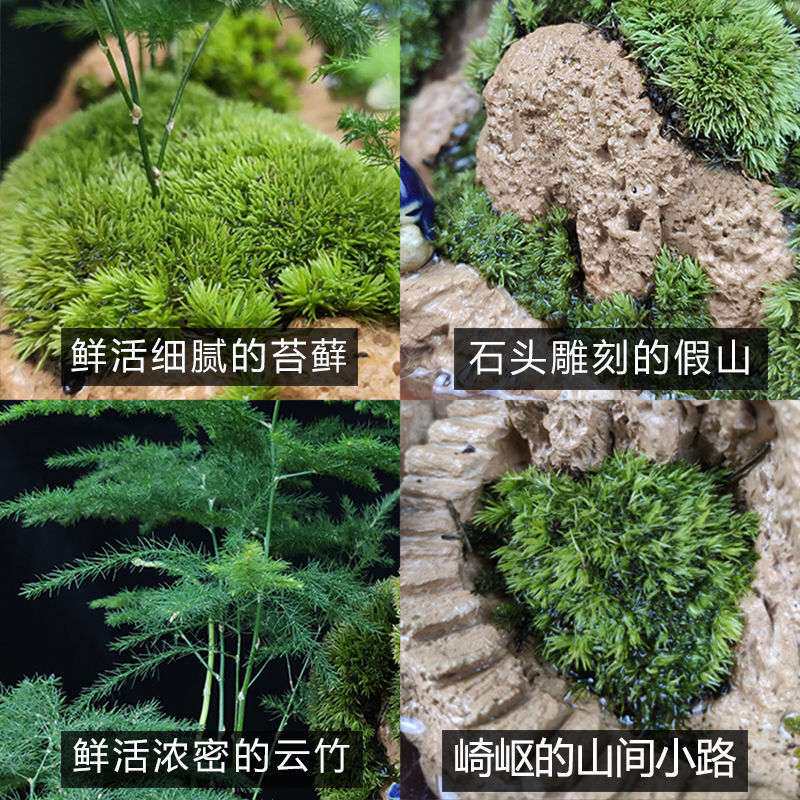 流水版假山盆景吸水奇石室内盆栽上水石头摆件天然山水造景绿植物