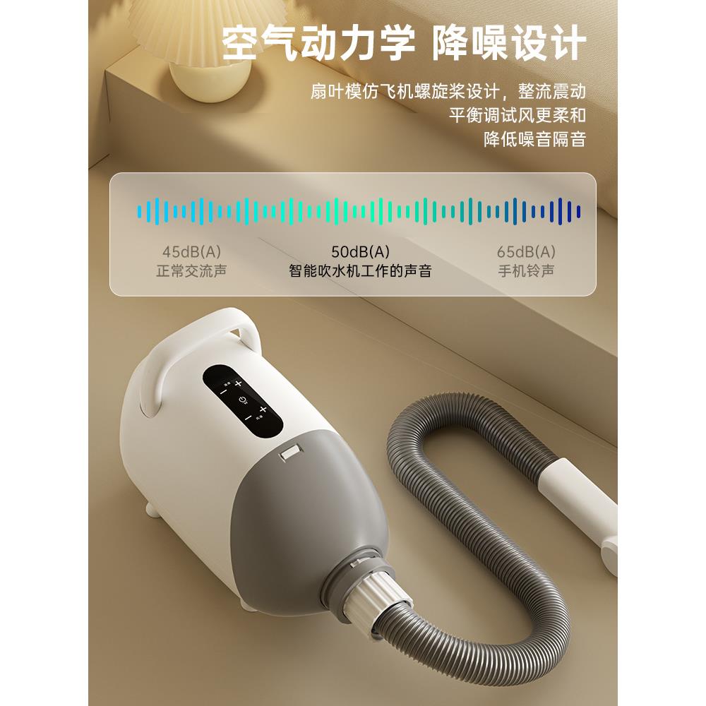 猫咪吹干专用洗澡宠物吹水机家用吹风静音烘干机狗狗毛神器大型犬