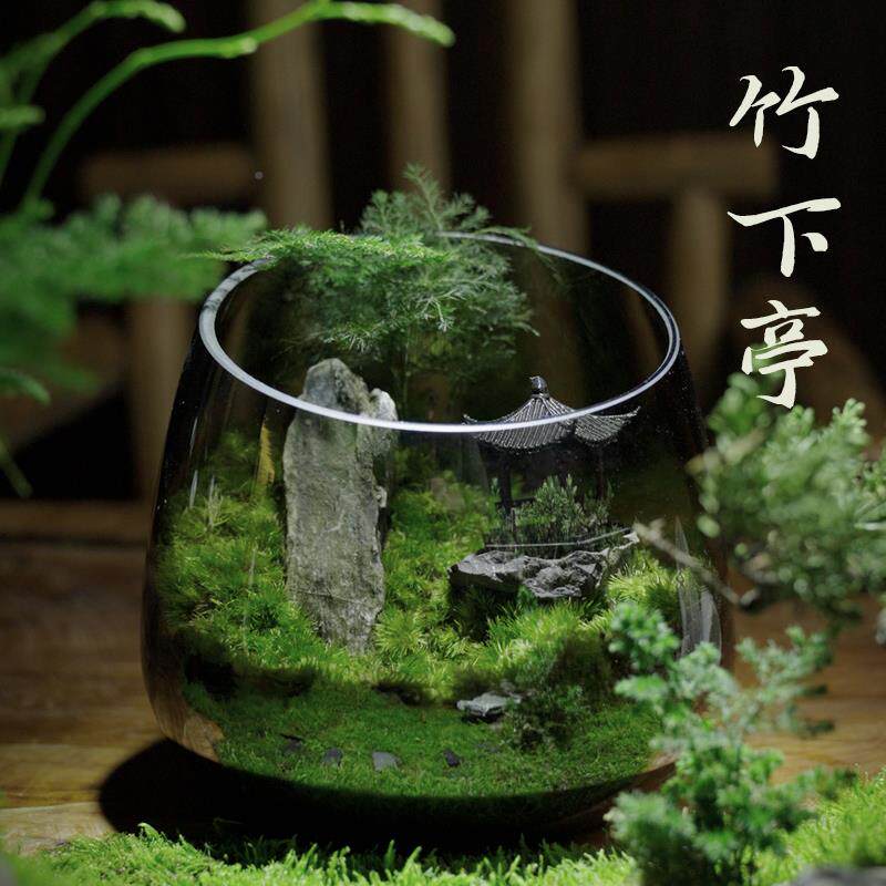 趣味苔藓微景观创意桌hz684472面生态造瓶盆室摆栽盆景件景办公植