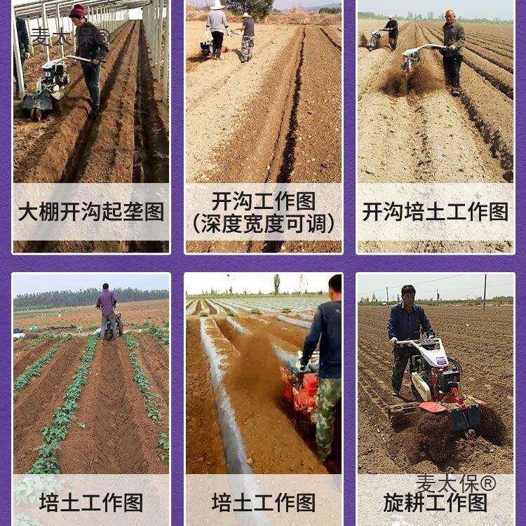 草莓85起开沟机大葱开沟培沟土果机田园管理机大生姜犁隆地深麦太