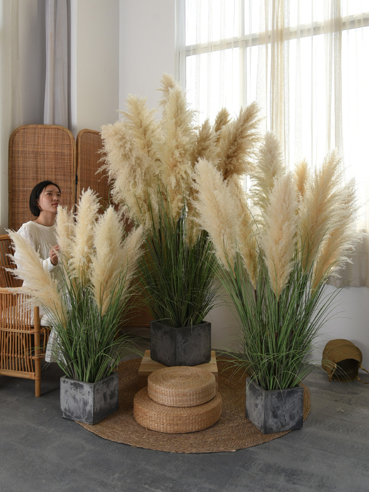 仿真绿植芦苇大蒲苇盆栽仿生植物干花摆件室内橱窗落地造景装饰
