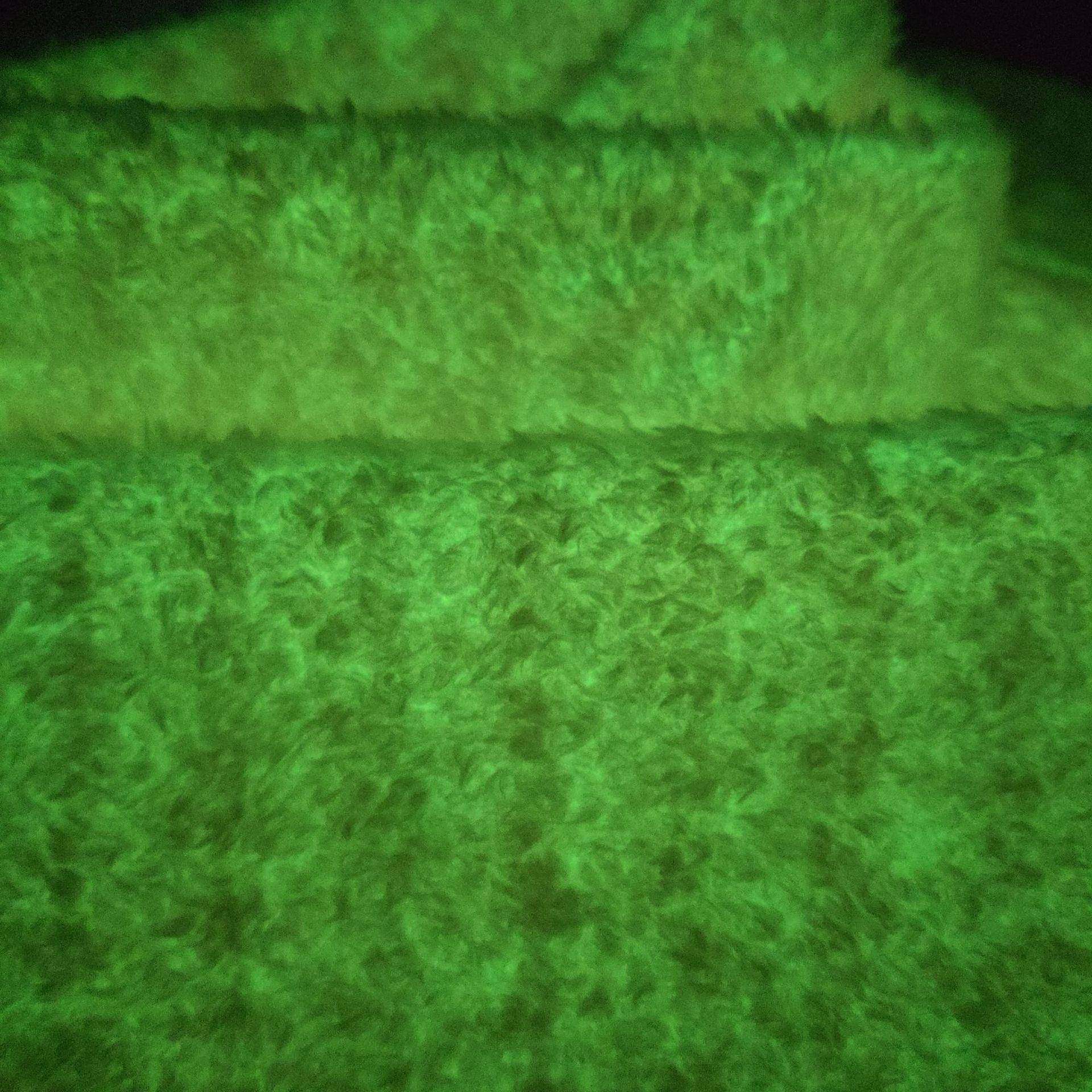 厂家夜光大珍植绒布光布夜环感珠光变OKL色感温水晶超柔保柔软