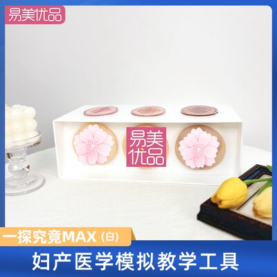 女性一探究竟MAXl美容院医患沟通摆台产康店女生解剖教学仿真模型