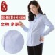 短款 孕妇装 条纹工装 长袖 纯棉上衣工作服春秋宽松上班衬衣 职业衬衫