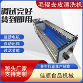 供应毛辊清洗机 土豆芋头去皮清洗机 根茎类清洗加工设备