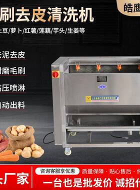 全自橙动土毛豆去皮清辊KWY洗机红薯清洗设备子去皮机毛刷去皮清