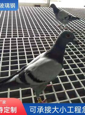 玻璃钢走格殖栅排水沟舍养鸽树篦子地沟板网格栅光伏检修QMZ道板