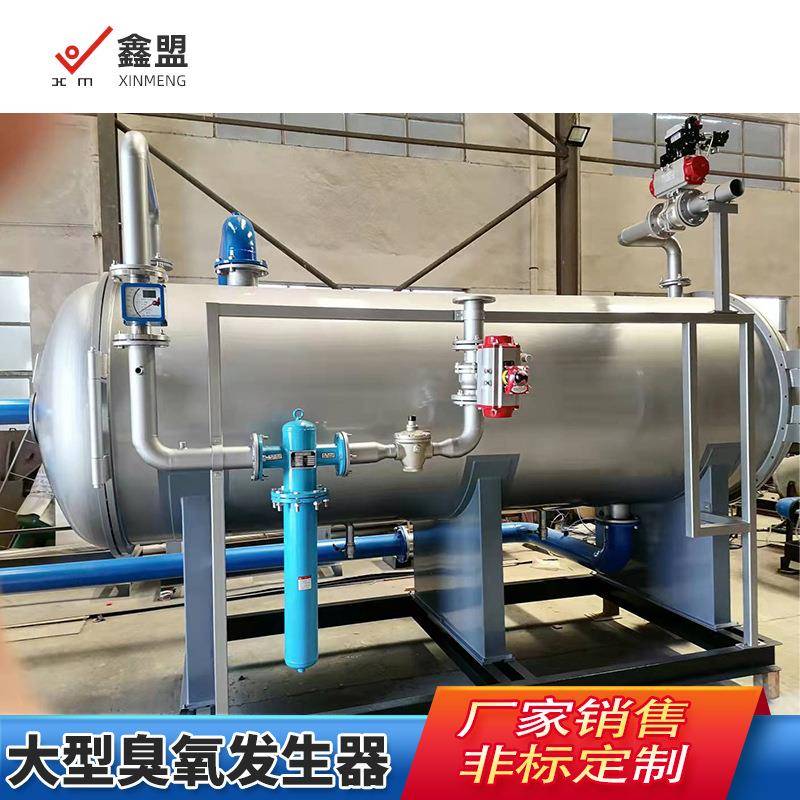 大型气臭氧发生器自来水废气污水化脱硝空源臭氧净处理ALG设备厂