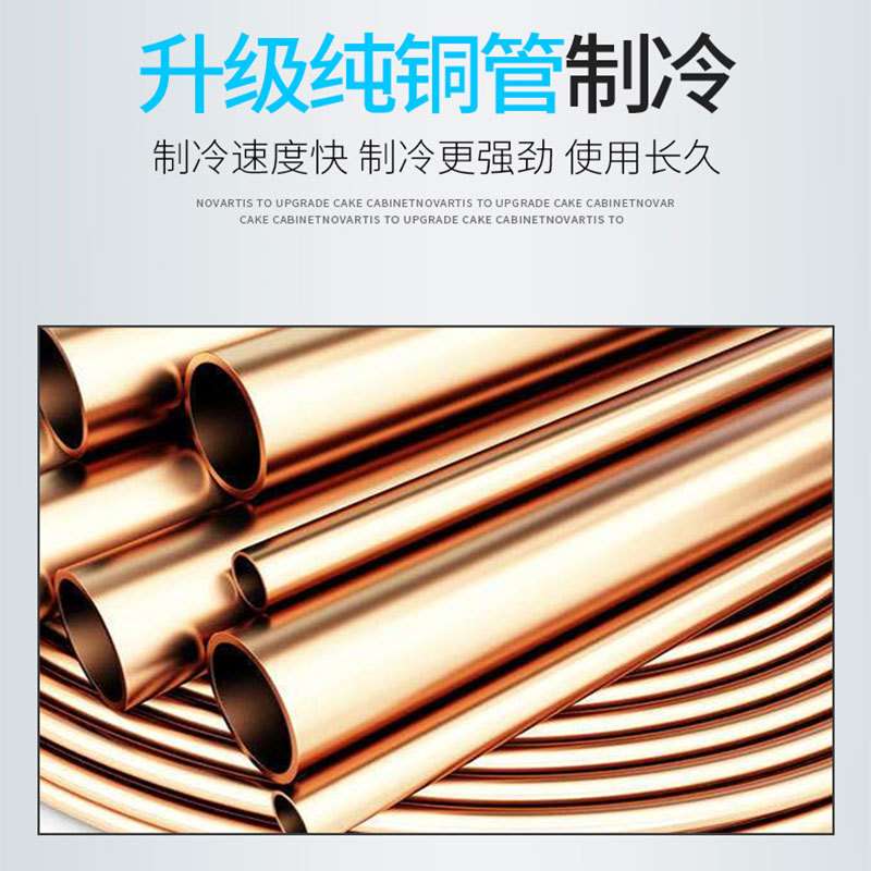 六门冰箱商用厨房冰柜大容量立式保鲜冷藏冷冻双温冷柜纯铜