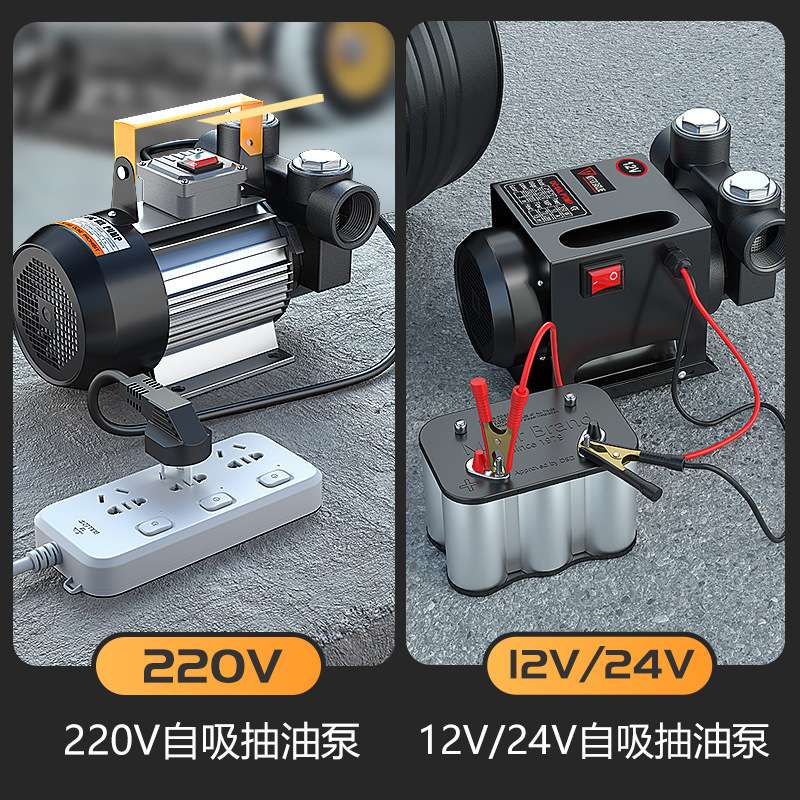 齿轮泵柴油泵家用电抽油泵220v插电自吸抽油机抽液压油大功率