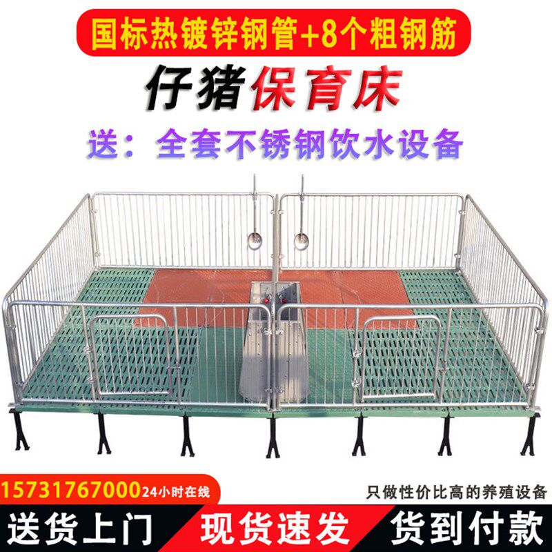 热镀锌仔猪保育床围栏全复合漏粪板小猪保育栏猪床母猪产床电热板