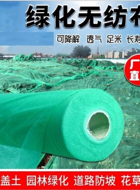 无纺布园林绿化绿色透气膜工地草坪防尘盖土边坡护坡植草籽覆盖膜