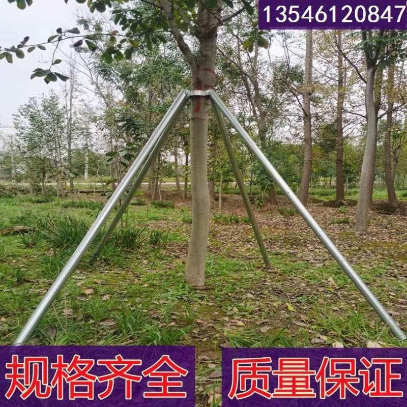 箍钢管大树抱树木园林支撑杆支撑乔木支撑架防风树固定器绿色金属