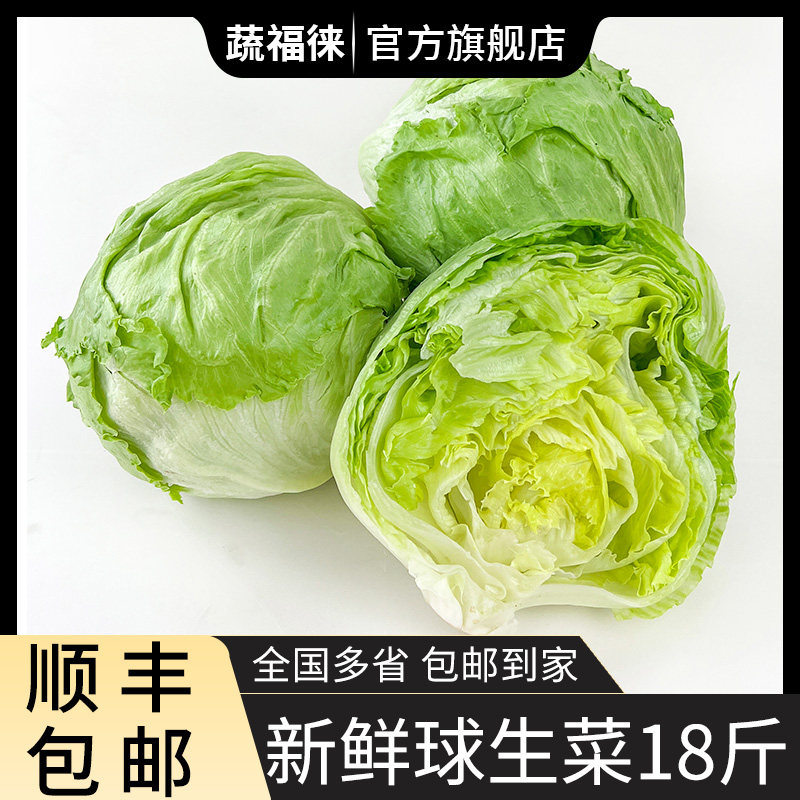 新鲜球生菜18斤 西生菜圆生菜新鲜蔬菜西餐汉堡用沙拉色拉食材