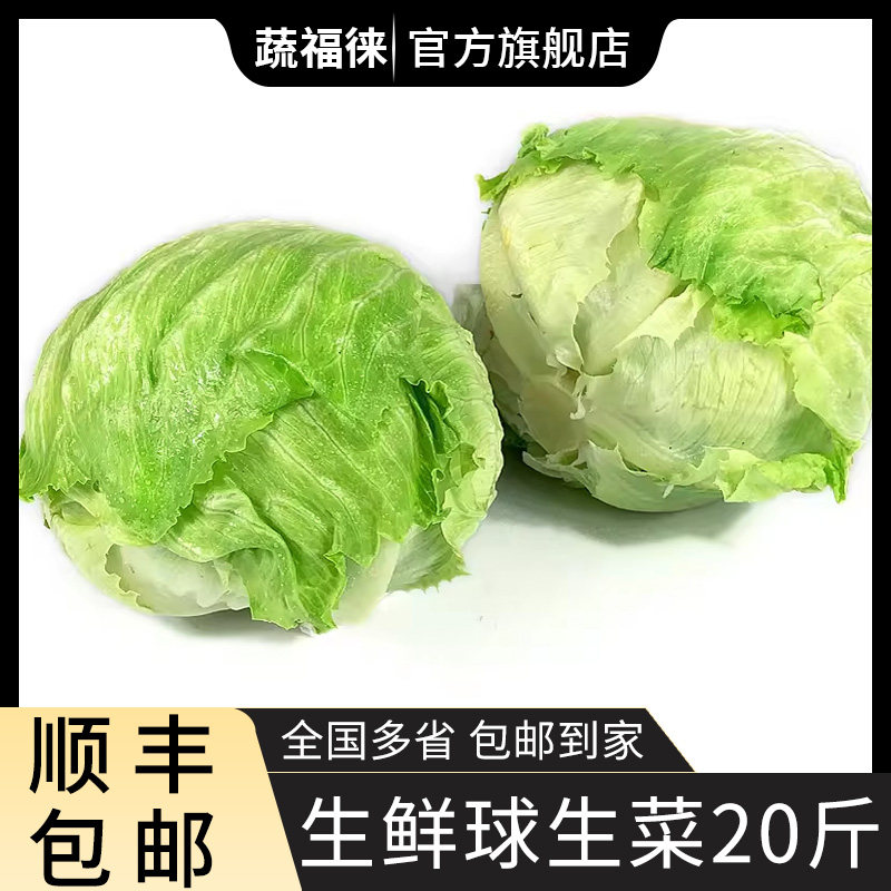 新鲜球生菜20斤 西生菜圆生菜新鲜蔬菜西餐汉堡用沙拉色拉食材