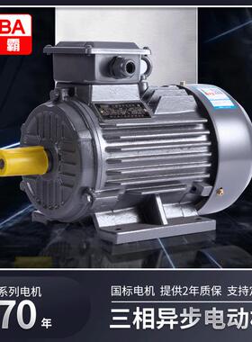 工厂直供YE3三相异步电动机22/30/45/75W工业大型交流电机马达