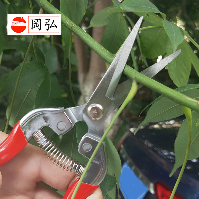 岡弘318摘果嫩芽剪直头s修枝剪刀采果稀果树枝剪疏花剪果树盆景剪