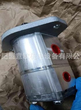 瑞典CONCENTRIC齿轮泵，油泵，马达，WP09D2 1803394