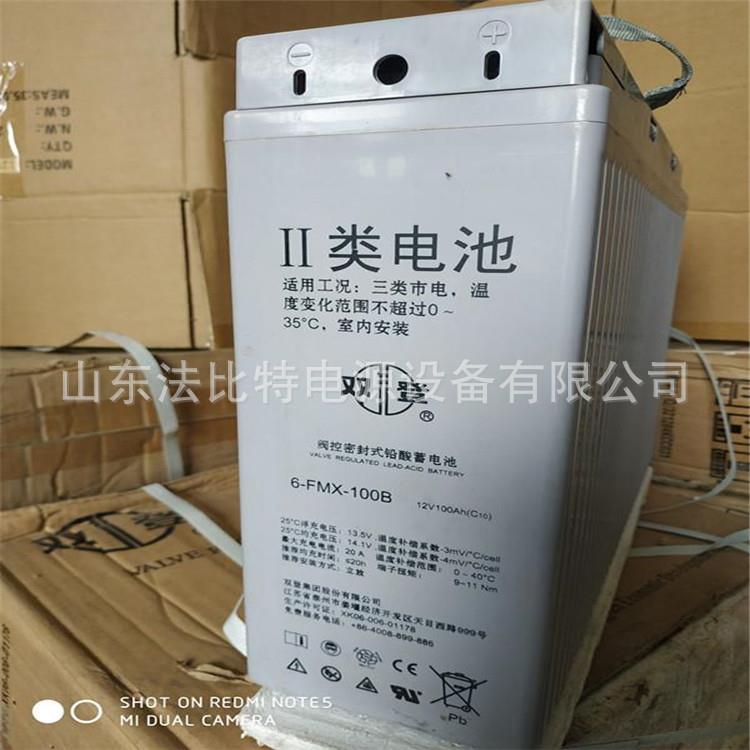 双登蓄电池6-FMX-100B狭长型12V100Ah电力系统通信机房6-FMX-100B