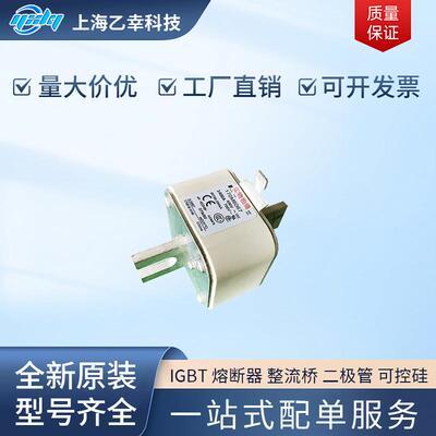 巴斯曼熔断器 170M6158 170M6159 170M6160 170M6161 170M6162