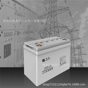 圣阳蓄电池6GFM-100 12V100AH发电厂变电站 电信通讯设备
