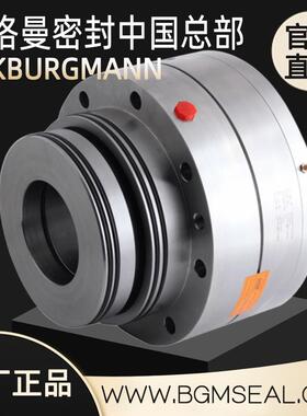 AEB-60武汉博格曼AEB-80火电厂2VSF莱宁侧搅拌器机械密封组件1VS