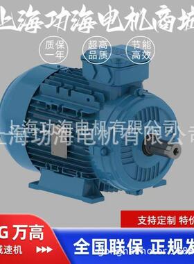 WEG万高 W21系列 IE2 4kW 4P 112M 3F 380-400V 5.Hz