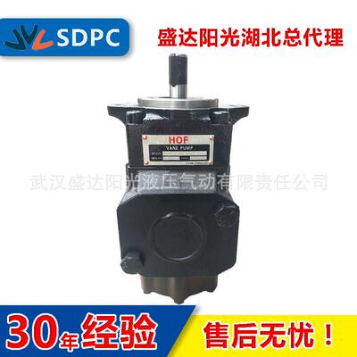 双联叶片泵 T6CC-025-005-1R00 电动液压油泵 性价比高