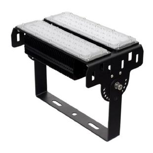 FL7 100W ZH100 50Hz 泛光灯 AC220V