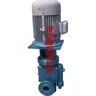 HSAS40R46U4PYT2成轧螺杆泵