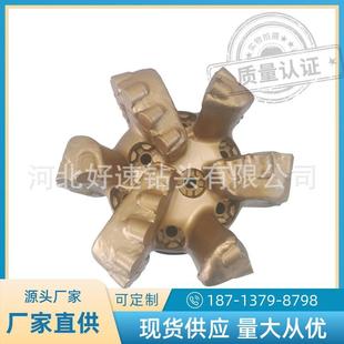 2英寸直径241mm 石油钻井PDC钻头S223