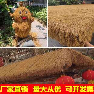 人造黄色茅草庭院装饰户外民宿凉亭雨棚屋顶隔音地垫地毯仿真草坪