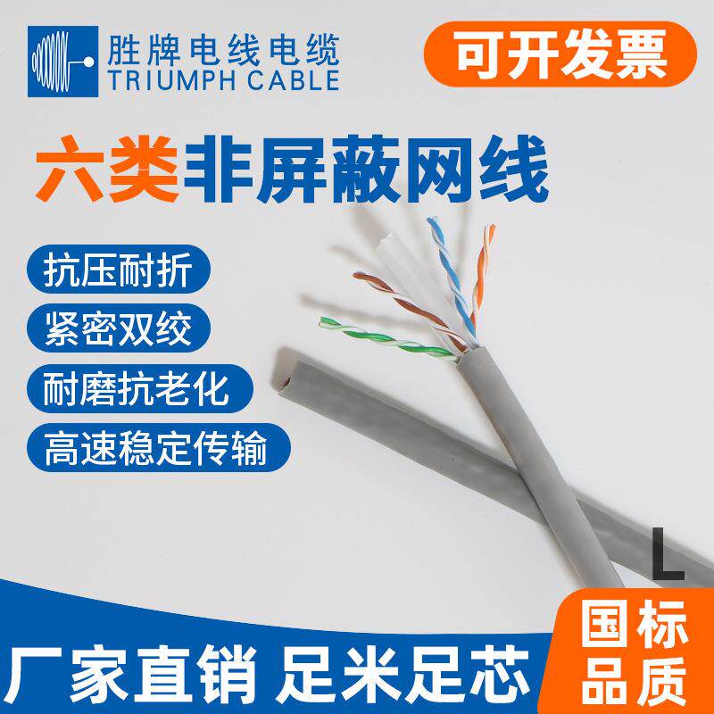 网吧服务器机房布线 千兆网线 超六类 过fluke测试 东莞胜牌厂家