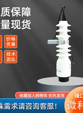 喷射式熔断器PRW-12/100跌落式封闭型保险操纵杆拉闸10kv户外令克