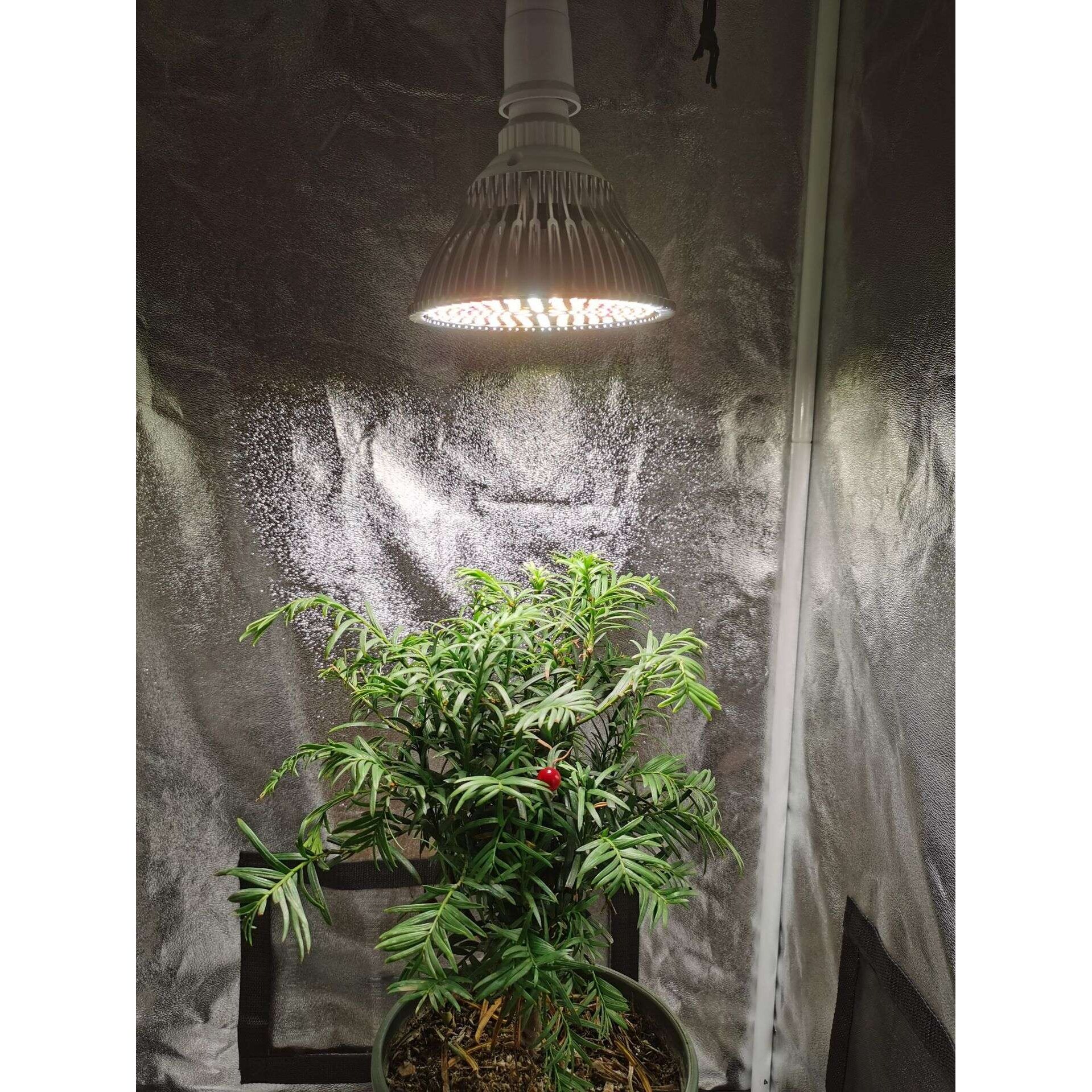 跨境热销184珠150W全光谱植物补光灯PAR38植物生长灯