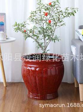 白色陶瓷花盆2021新款设计感大号北欧简约大口径落地花盆深高盆