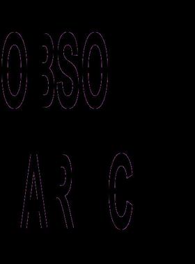 意大利狄纳乔E-AF08多称重平台轮重称重系统专用型号