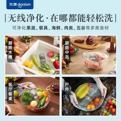 DL-1212 便捷式果蔬清洗机蔬果电解净化机净化器